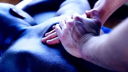 Massage therapy