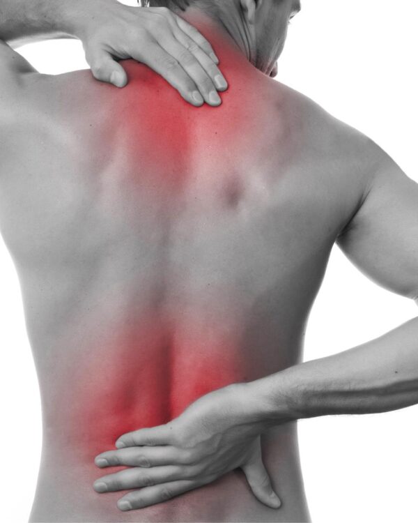 Back And Neck Pain Disorders Spine Plus   Back Pain 600x750 